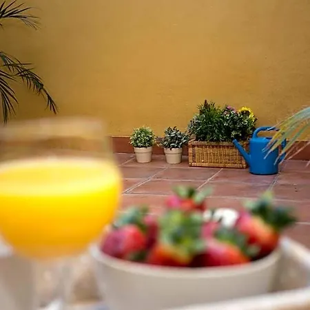 Singularstays Botanico29 Valencie