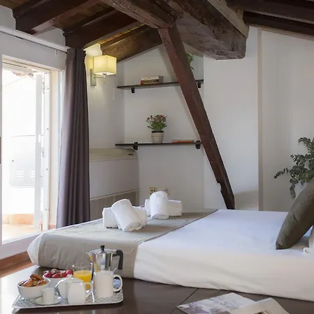 Singularstays Botanico29