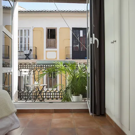 Singularstays Botanico29